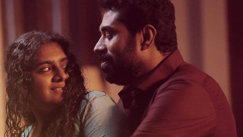 Gallery Stills