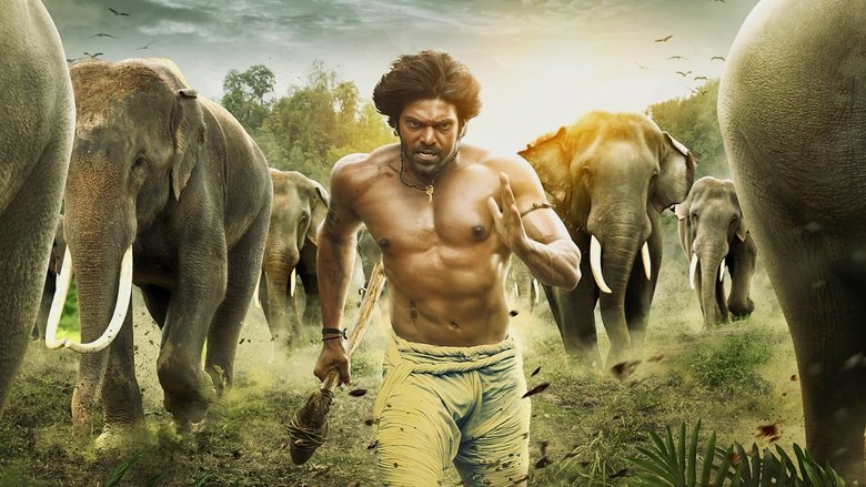 Gallery Stills