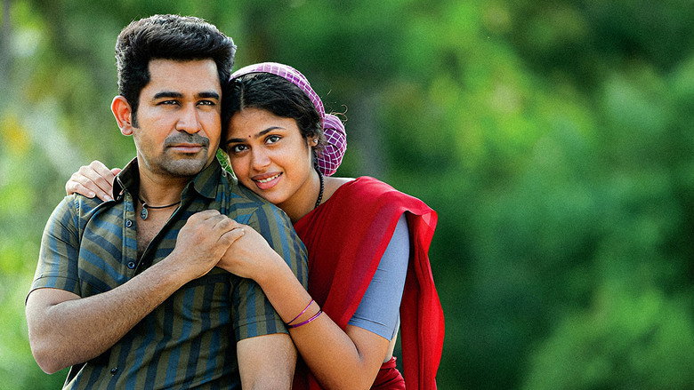 Gallery Stills