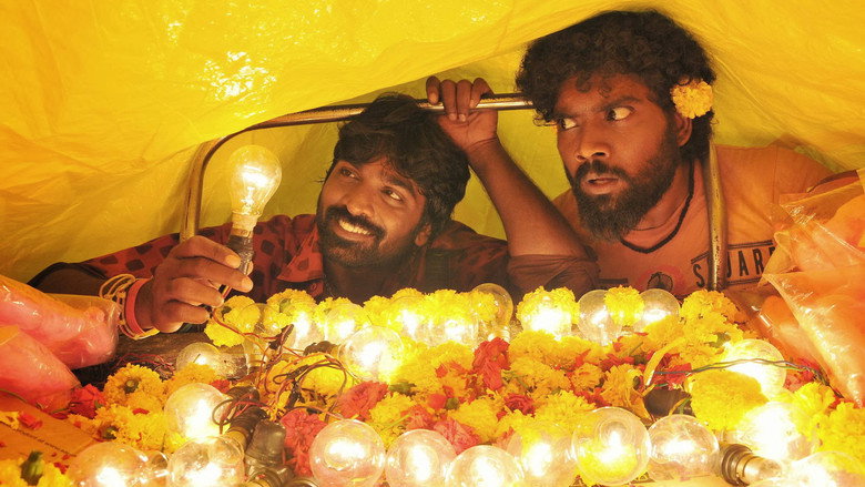 Gallery Stills