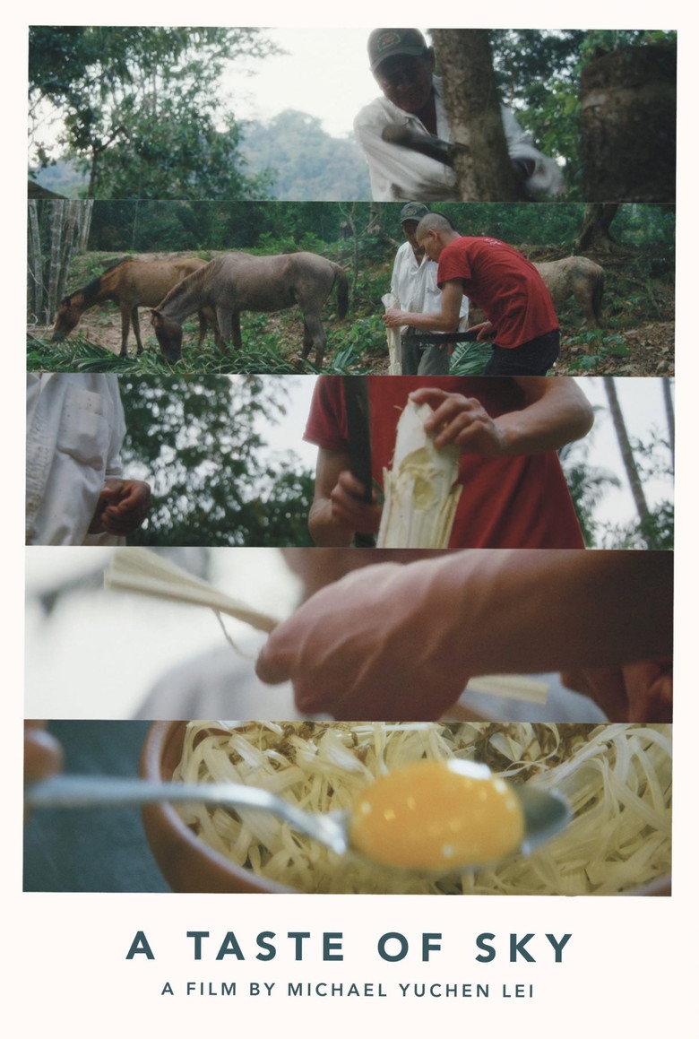 Gallery Stills