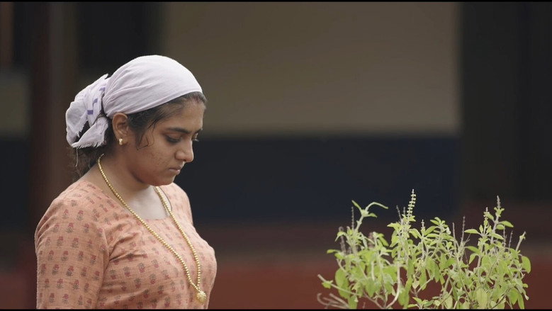 Gallery Stills