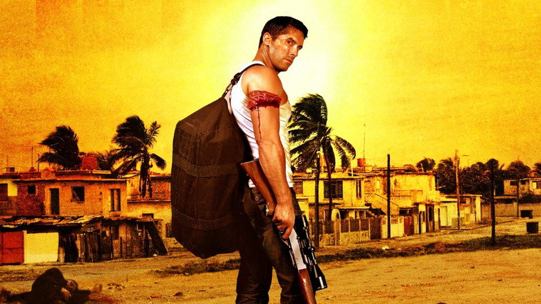 Gallery Stills