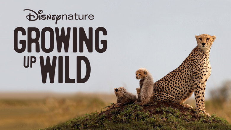 Gallery Stills