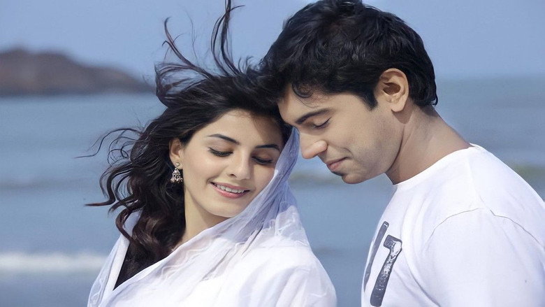 Gallery Stills