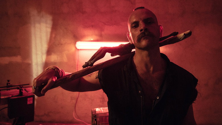 Gallery Stills