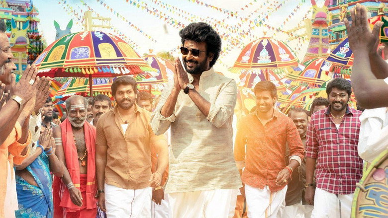 Gallery Stills