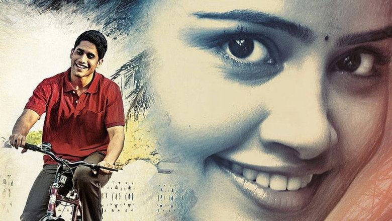 Gallery Stills