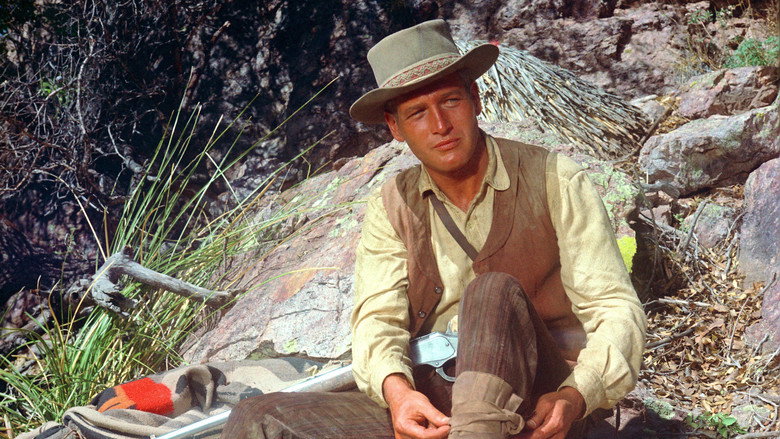 Gallery Stills