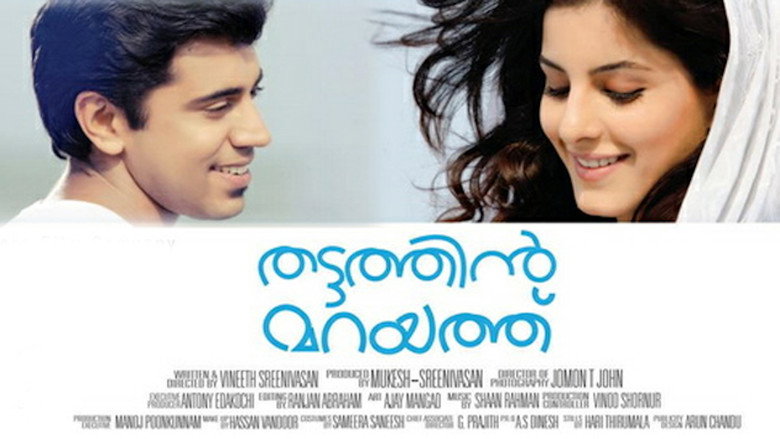 Gallery Stills
