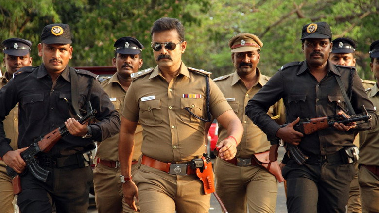 Gallery Stills