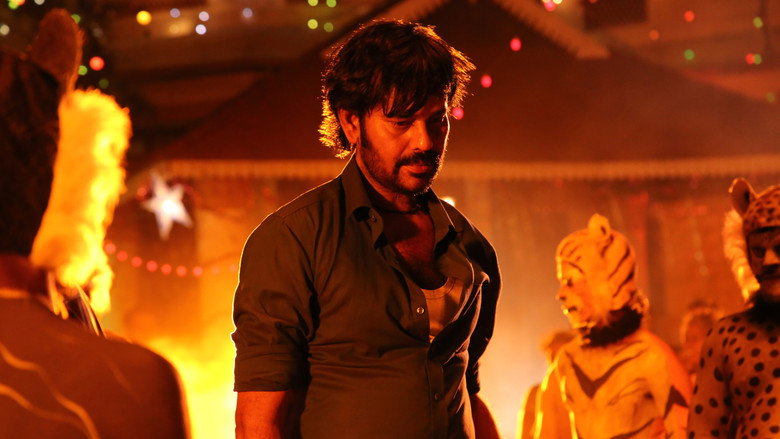 Gallery Stills
