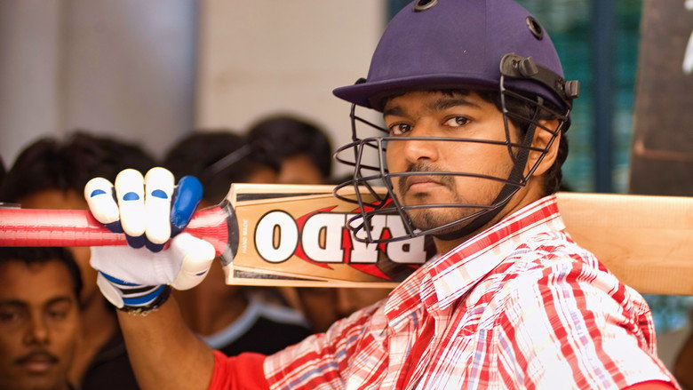 Gallery Stills