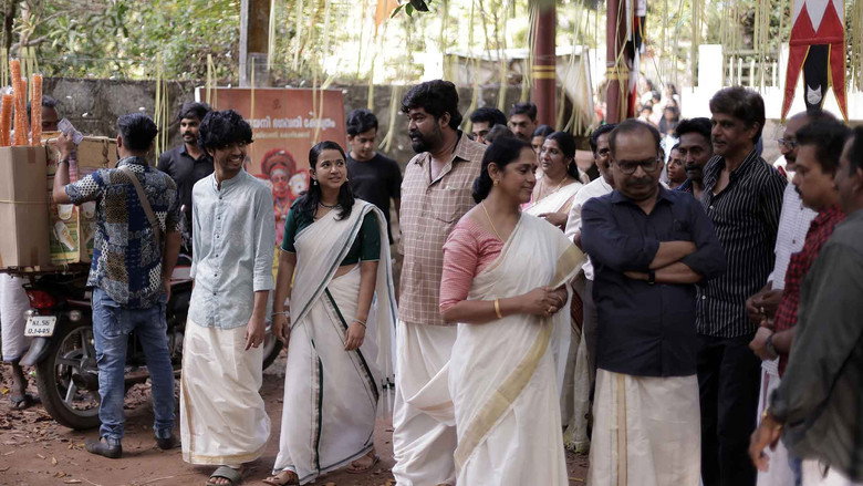 Gallery Stills