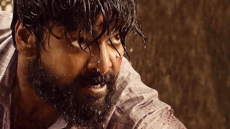 Gallery Stills